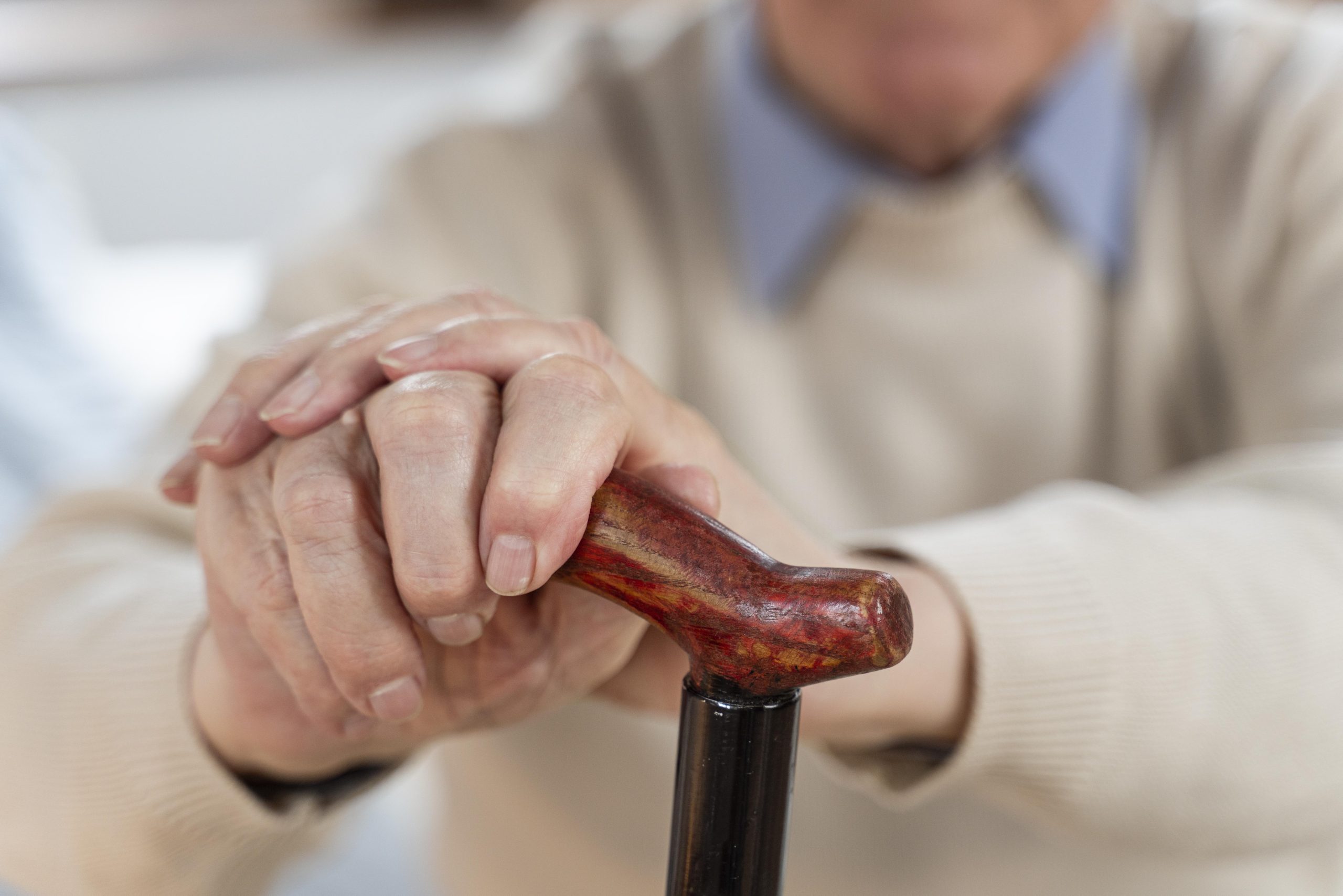 Seniors Embracing the Boundless Horizons of Life